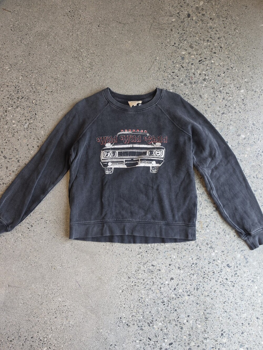 Sezane Wild Child Sweatshirt